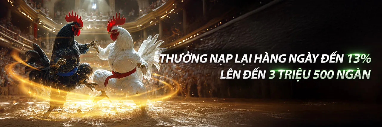 Sân đấu đá gà trực tuyến sôi động tại helo888 game bài, với các chiến kê dũng mãnh và không khí cá cược đầy kịch tính.